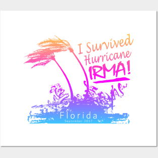 I survived Hurricane Irma Posters and Art